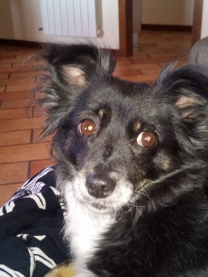 amore incondizionato