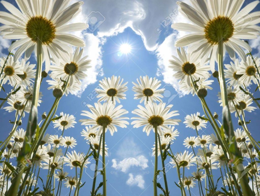 fuori splende il sole . ricordalo sempre