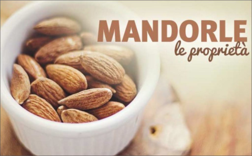 mandorle : cosa contengono le mandorle. il prezzo delle mandorle. il pollo alle mandorle. valori nutrizionali delle mandorle