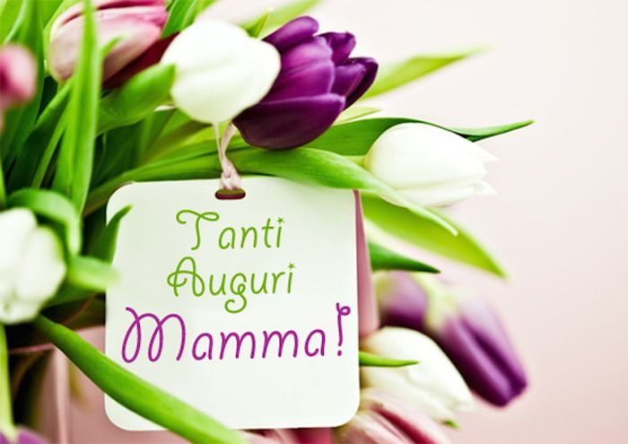 Auguri alle mamme dei pelosi