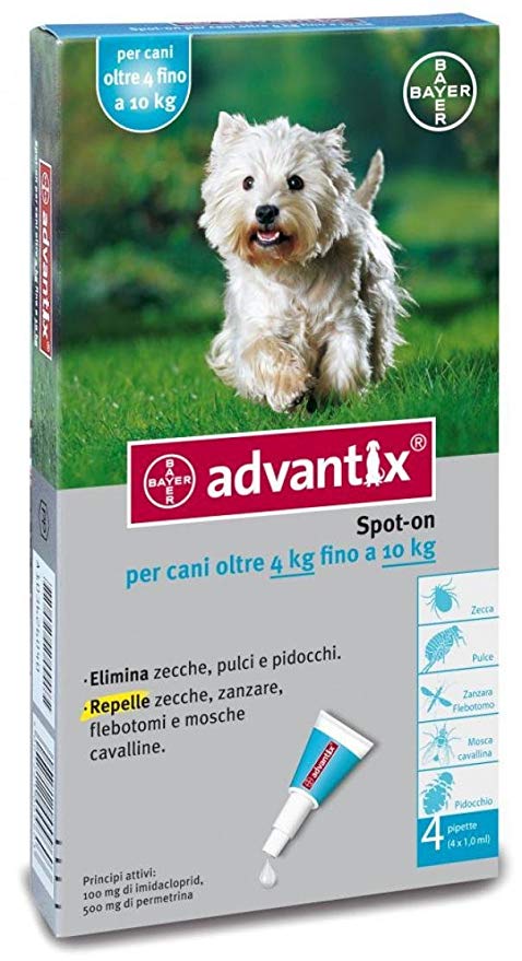 antipulci gatto antipulci cane