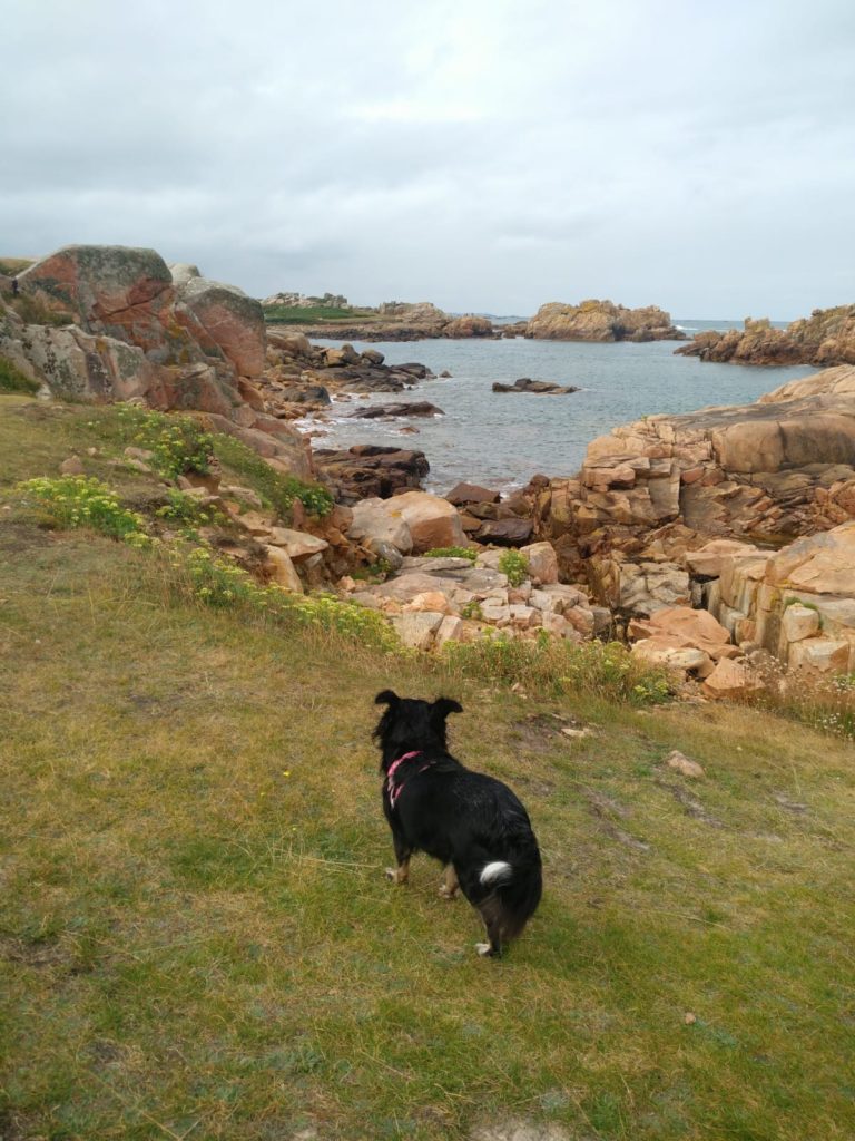 ile de brehat l'isola dei miei sogni