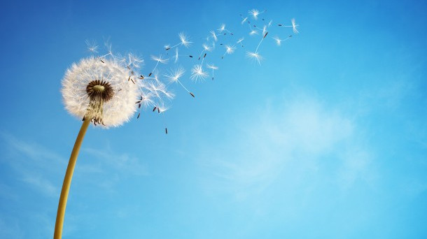 pensieri al vento , amore , baci e abbracci che non ho potuto darti