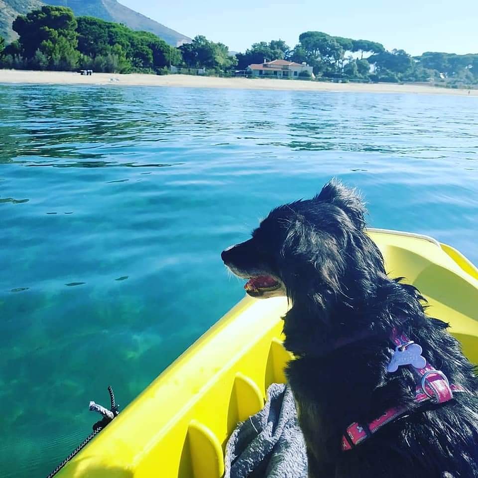 Dedicato a te amore di un cane