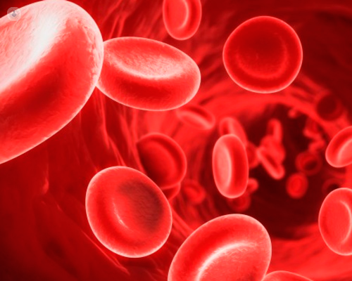 leucemia